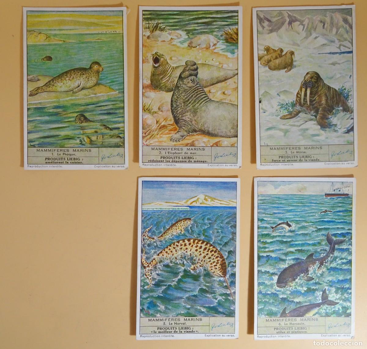 Coleccionismo Cromos antiguos: ANTIGUOS CROMOS LIEBIG, SERIE x6 (FALTA EL 4) , MAMMIF&Egrave;RES MARINS , VER FOTOS