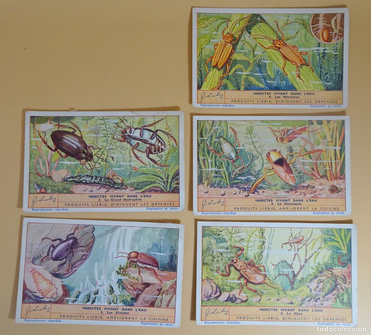 Coleccionismo Cromos antiguos: ANTIGUOS CROMOS LIEBIG SERIE x6,(FALTA EL N&ordm;1) INSECTES VIVANT DANS L&acute;EAU , VER FOTOS