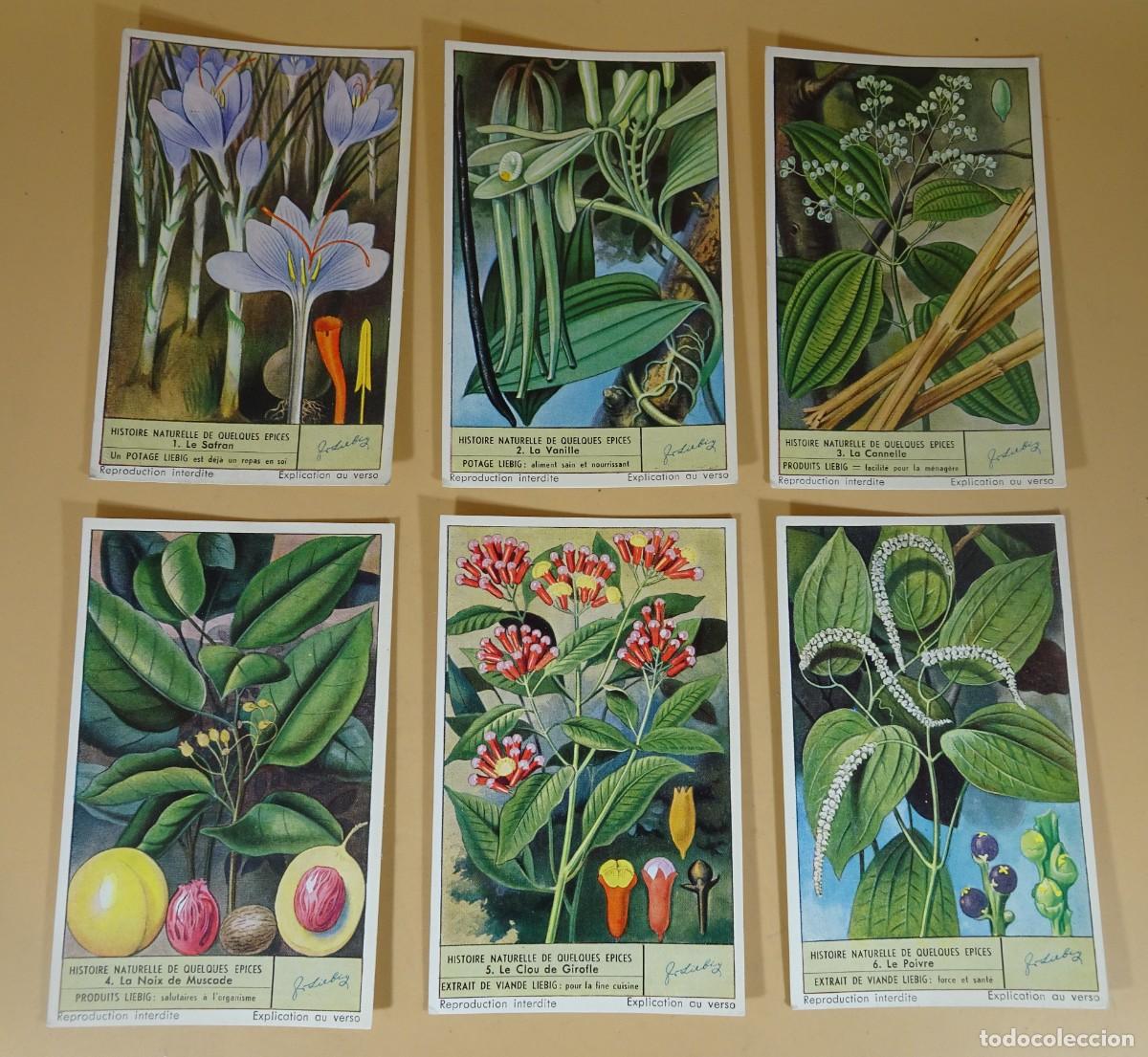 Colecionismo Cromos antigos: ANTIGUOS CROMOS LIEBIG SERIE x6, HISTOIRE NATURELLE DE QUELQUES EPICES , VER FOTOS