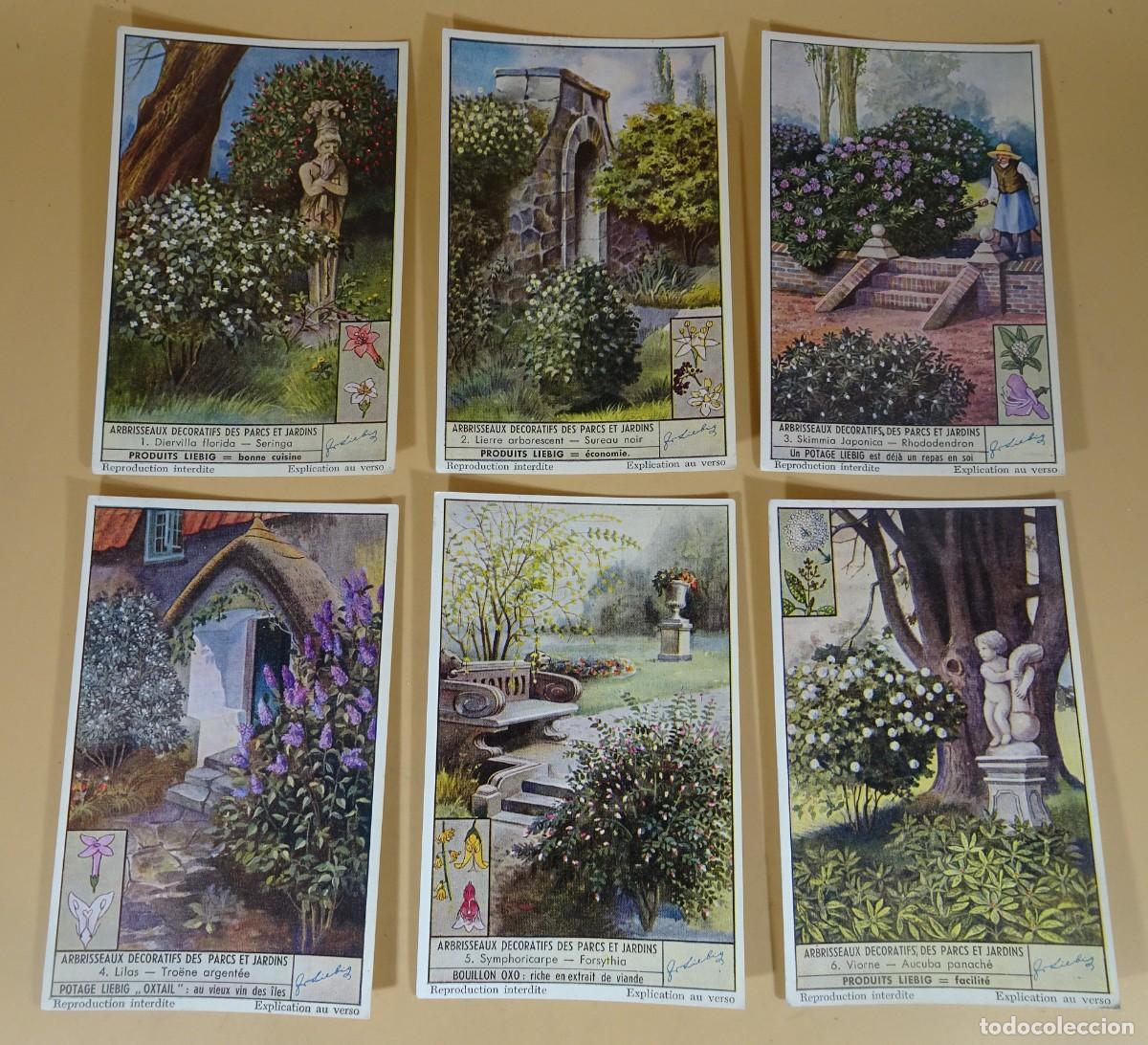 Colecionismo Cromos antigos: ANTIGUOS CROMOS LIEBIG SERIE x6, ARBRISSEAUX DECORATIFS DES PARCS ET JARDINS , VER FOTOS