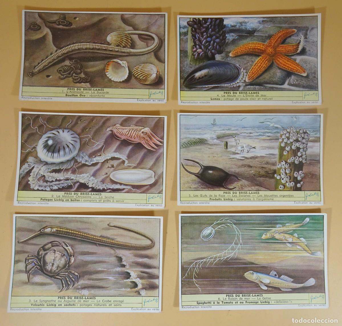 Coleccionismo Cromos antiguos: ANTIGUOS CROMOS LIEBIG SERIE x6, PRES DU BRISE-LAMES , VER FOTOS