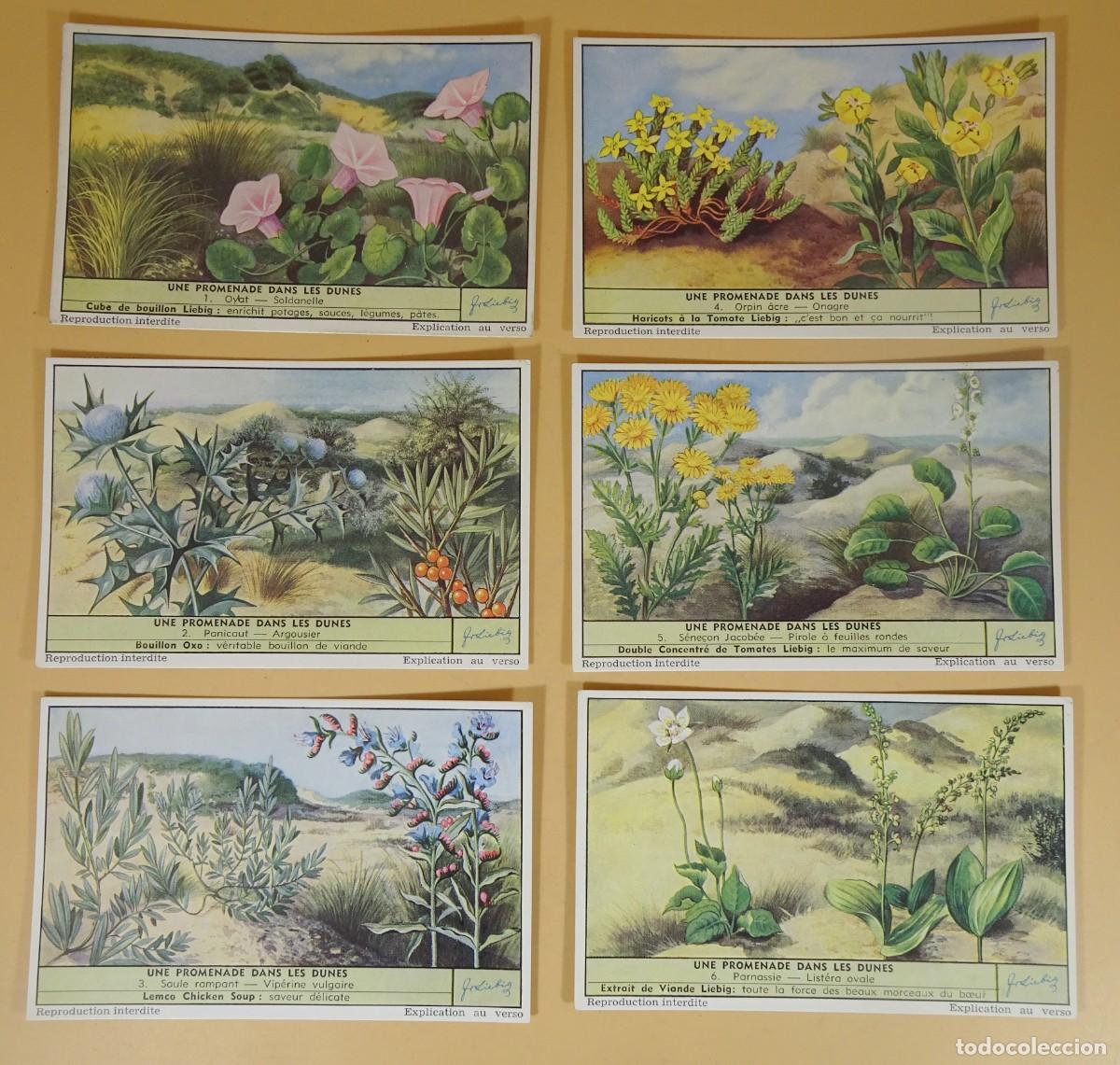 Colecionismo Cromos antigos: ANTIGUOS CROMOS LIEBIG SERIE x6 , UNE PROMENADE DANS LES DUNES, VER FOTOS