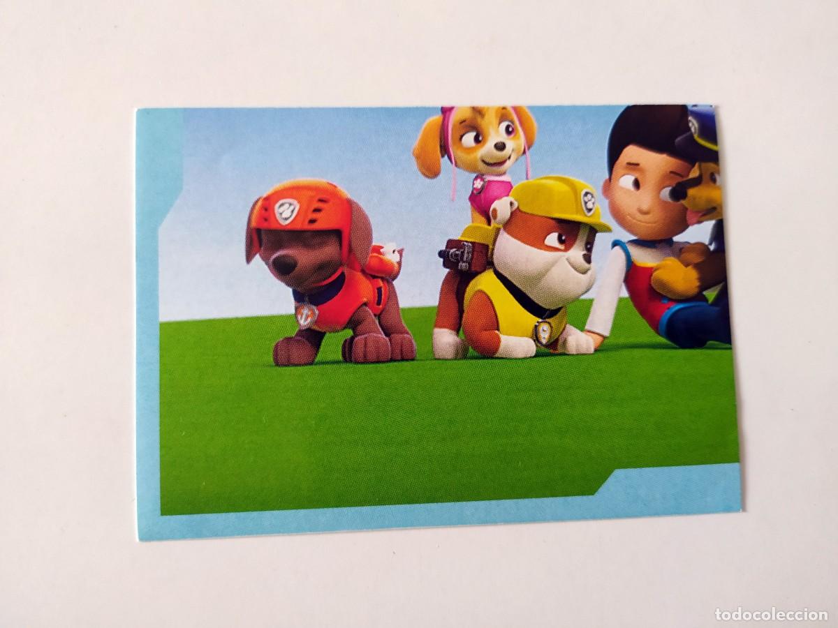 pegatinas stickers panini paw patrol, patrulla - Compra venta en  todocoleccion