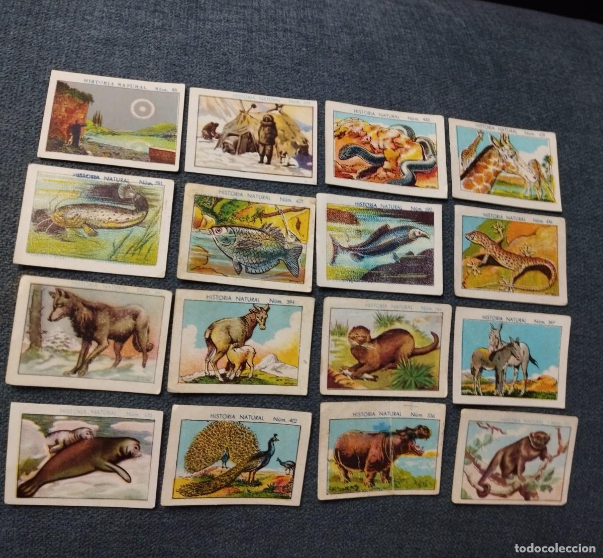 Coleccionismo cromos antiguos: Lote de 36 cromos peque&ntilde;os de chocolates Juncosa - Foto 2