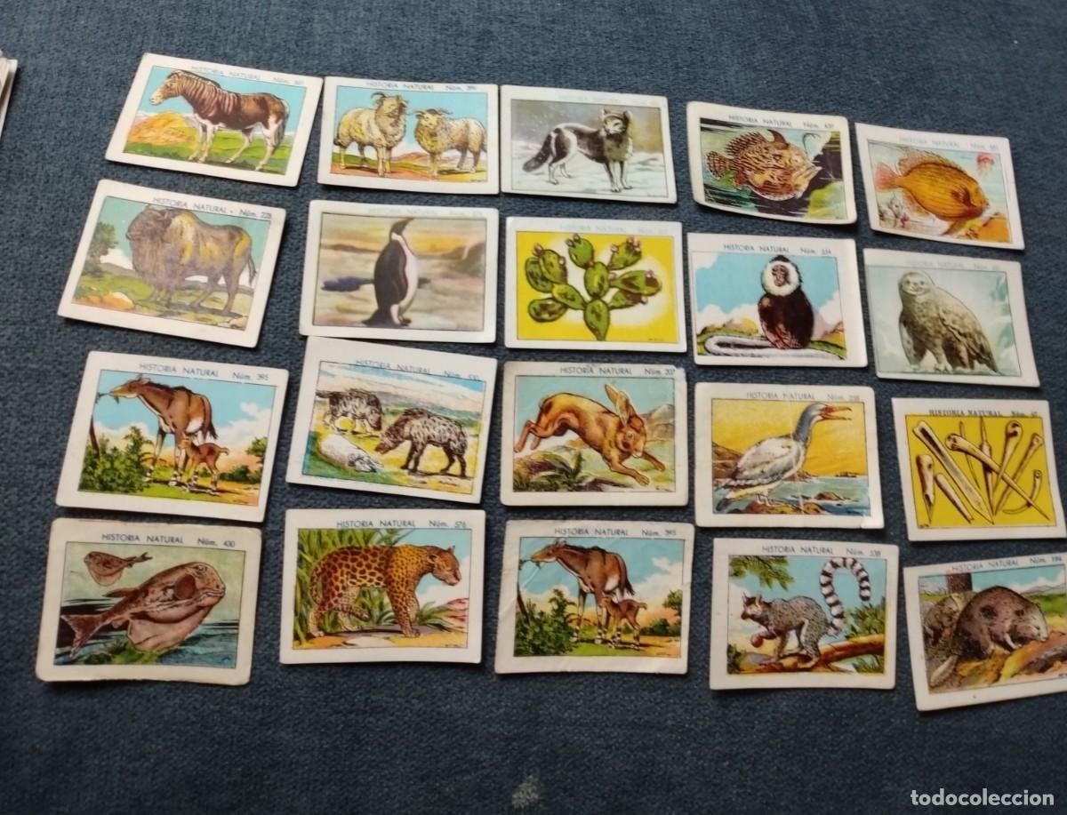 Coleccionismo cromos antiguos: Lote de 36 cromos peque&ntilde;os de chocolates Juncosa - Foto 3