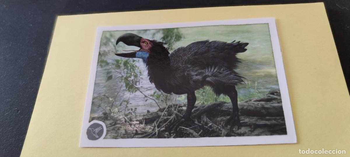 Coleccionismo cromos antiguos: CROMO ANIMALES (PANINI 2020) - N&ordm; 271 - Foto 1