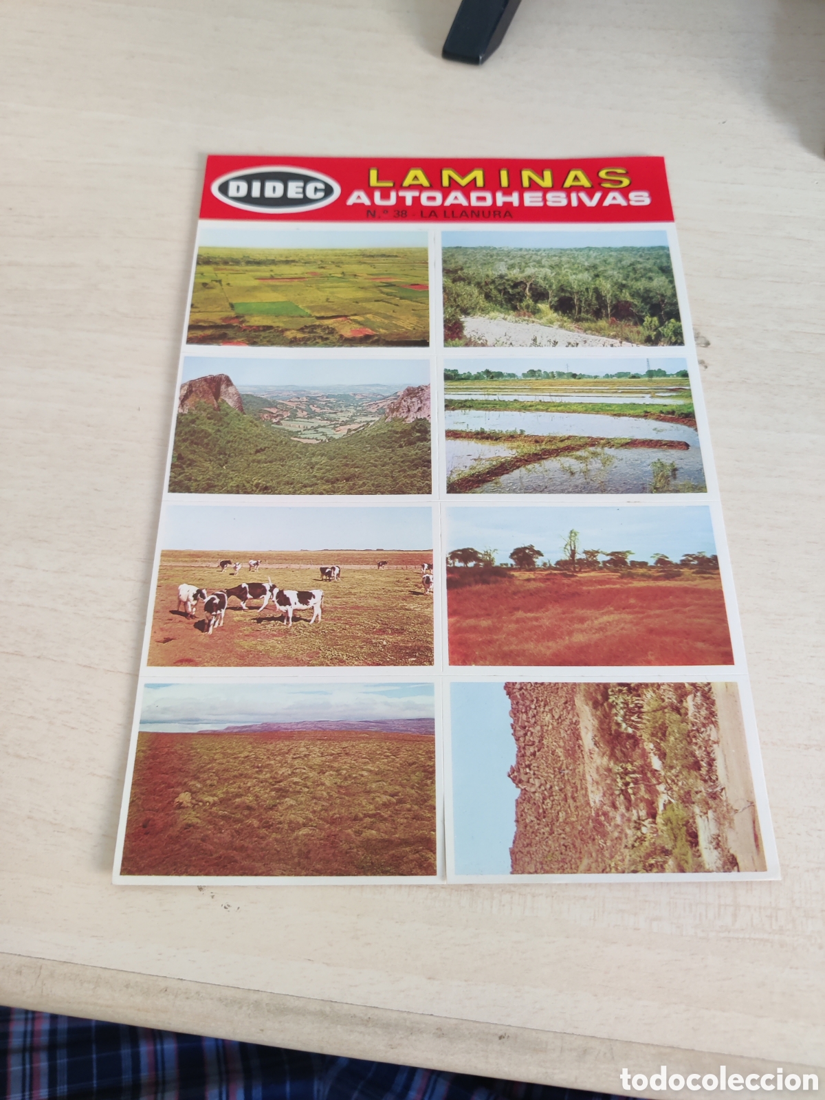 Coleccionismo cromos antiguos: Lote de 41 LAMINAS AUTOADHESIVAS DIDEC - Foto 4
