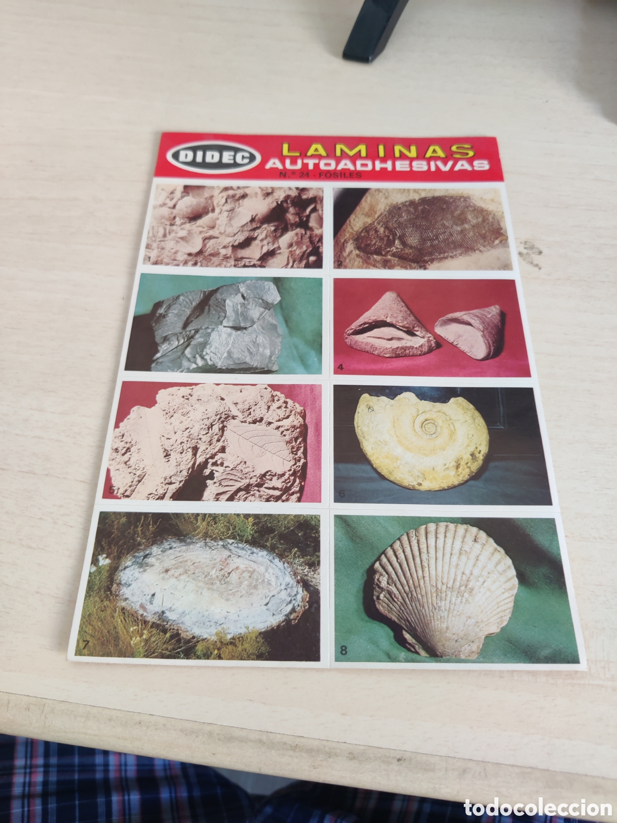 Coleccionismo cromos antiguos: Lote de 41 LAMINAS AUTOADHESIVAS DIDEC - Foto 6