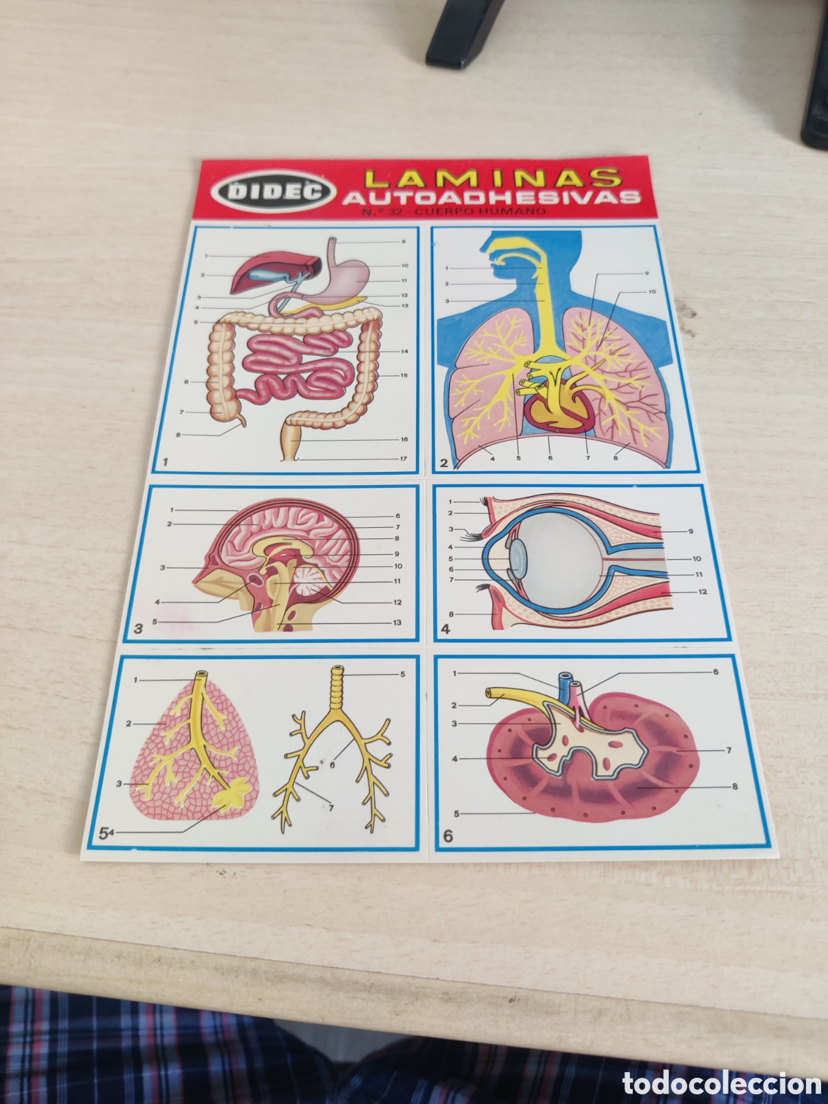 Coleccionismo cromos antiguos: Lote de 41 LAMINAS AUTOADHESIVAS DIDEC - Foto 8