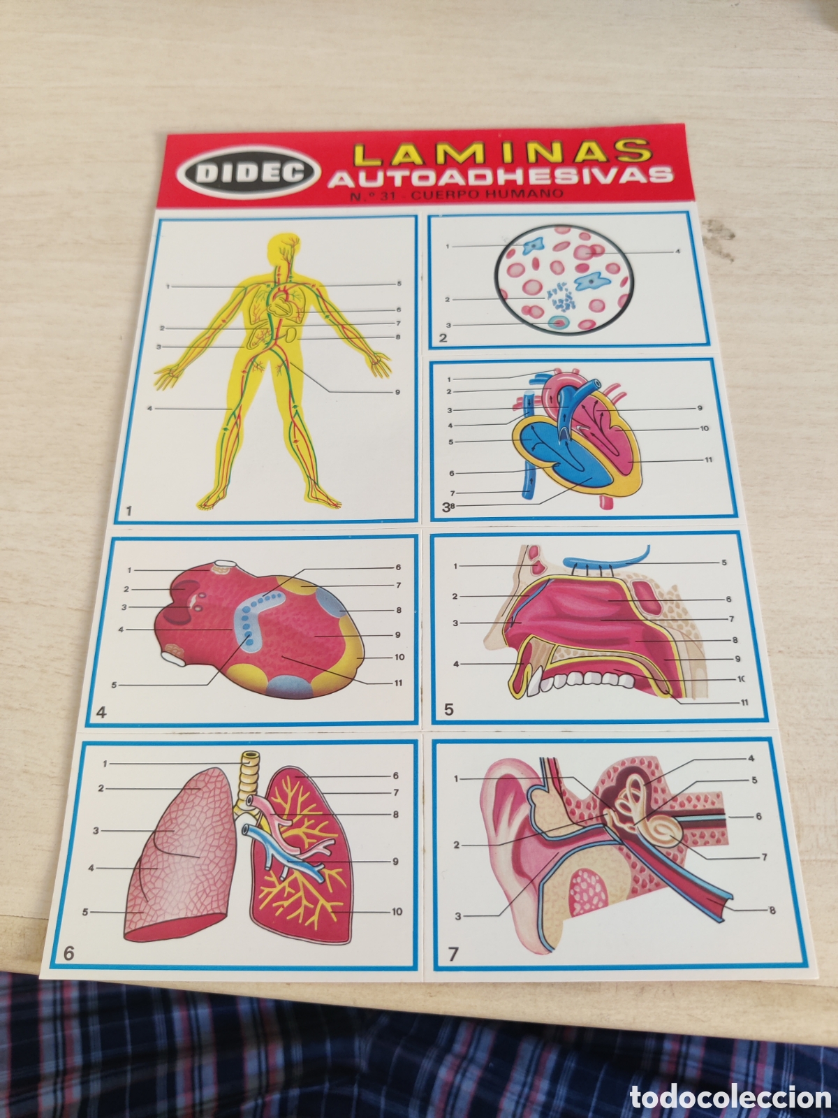 Coleccionismo cromos antiguos: Lote de 41 LAMINAS AUTOADHESIVAS DIDEC - Foto 15