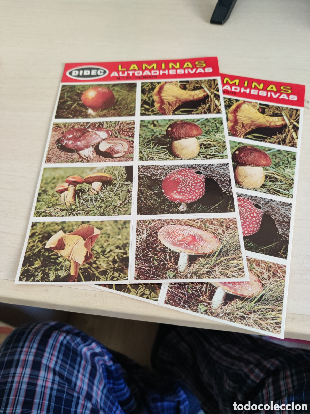 Coleccionismo cromos antiguos: Lote de 41 LAMINAS AUTOADHESIVAS DIDEC - Foto 26