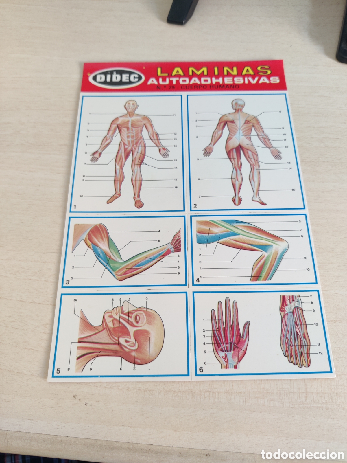 Coleccionismo cromos antiguos: Lote de 41 LAMINAS AUTOADHESIVAS DIDEC - Foto 2