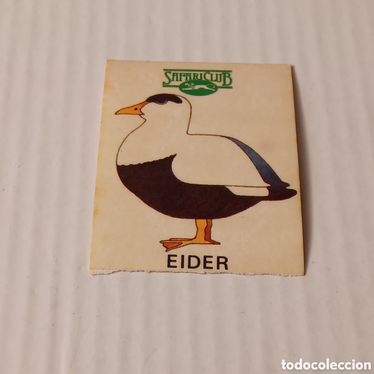 Coleccionismo Cromos antiguos: Cromo adhesivo a&ntilde;os 80 Club Safari LA Gran Quiniela del mundo animal Eider
