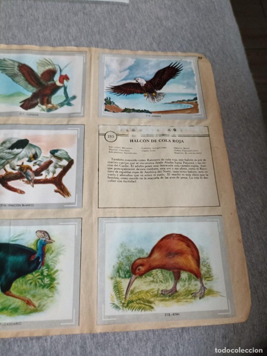Coleccionismo cromos antiguos: coleccion de cromos vida y color Incompleta - Foto 6