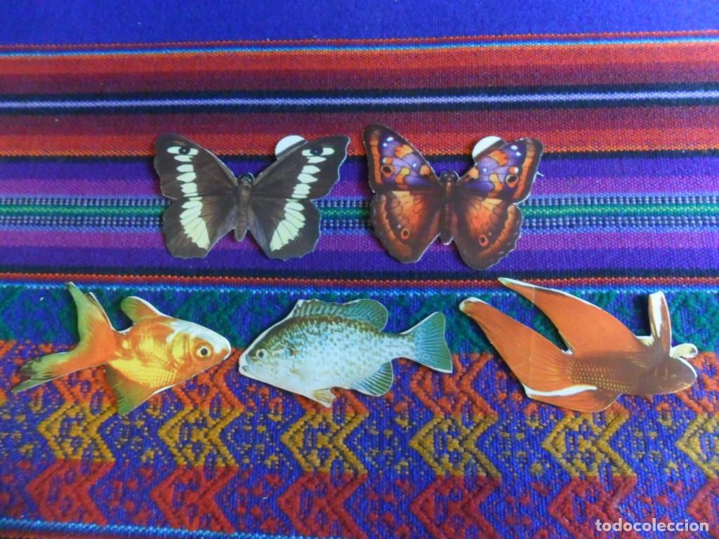 Coleccionismo Cromos antiguos: CROMO NUNCA PEGADO PECES EX&Oacute;TICOS DONUTS 13 16 23 REGALO MARIPOSAS 21 35. PANRICO A&Ntilde;OS 70. RAROS.