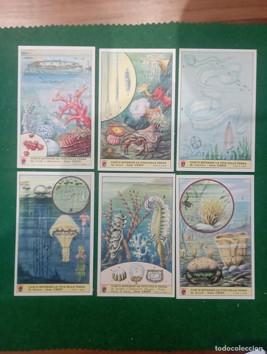 Colecionismo Cromos antigos: Lavazza cromos, serie completa n&ordm; 134