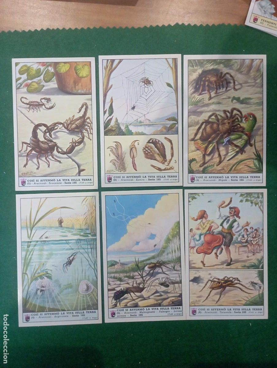 Colecionismo Cromos antigos: Lavazza cromos, serie completa n&ordm; 165