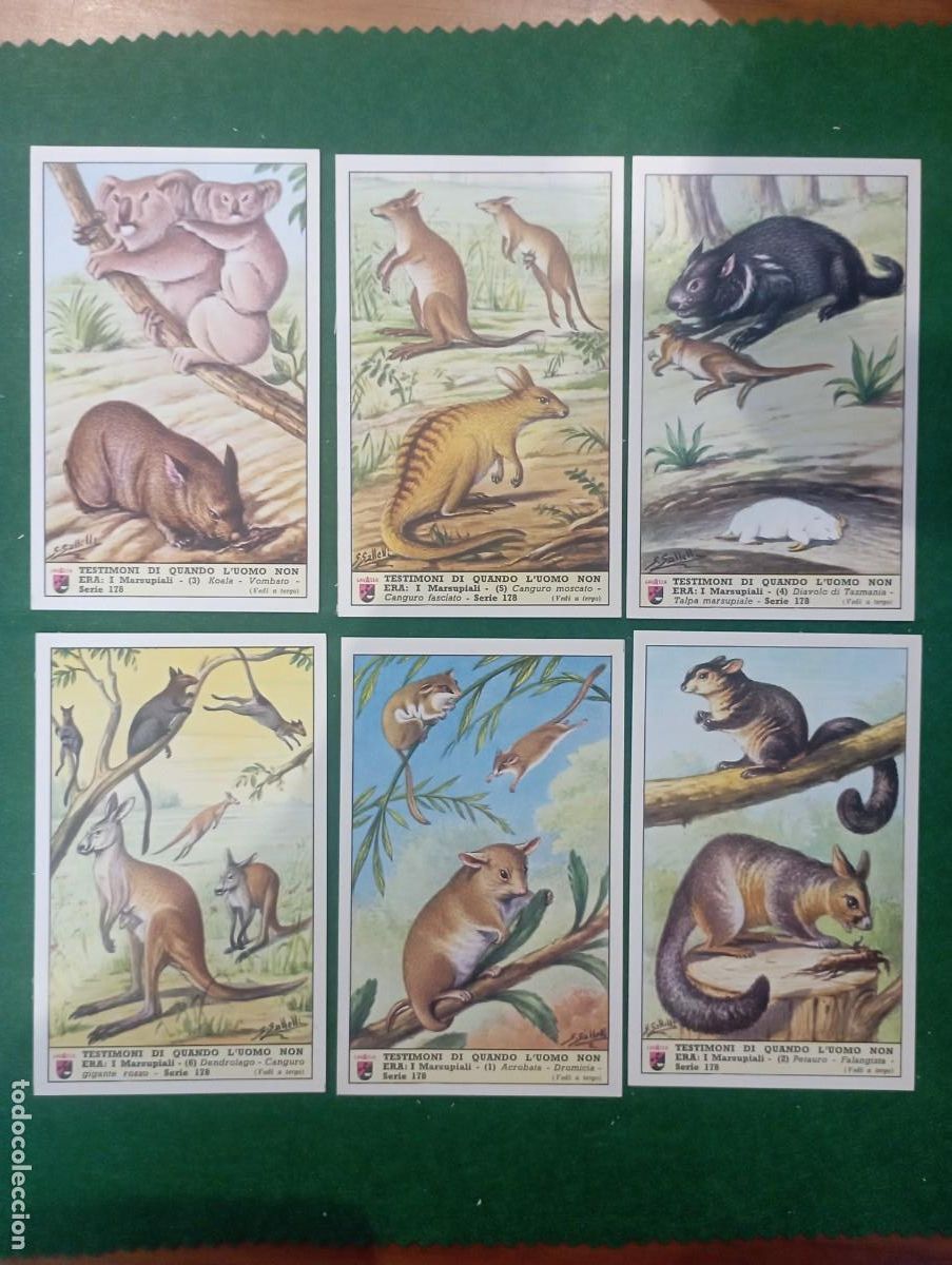 Colecionismo Cromos antigos: Lavazza cromos, serie completa n&ordm; 178