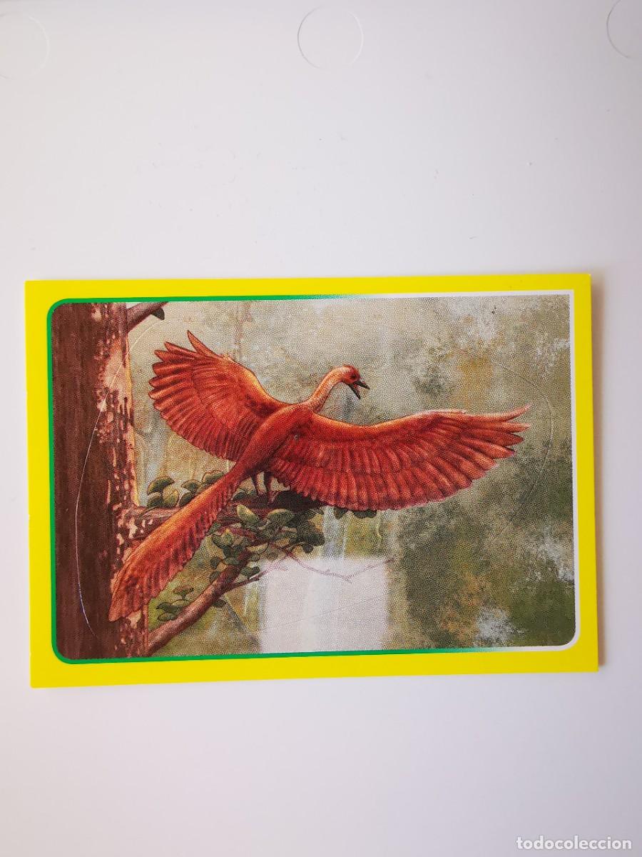 Sammeln alte Sammelbilder: CROMO PEGATINA SIN PEGAR ANIMALES GRAN ALBUM DEL MUNDO ANIMAL 2014 PANINI 57 AVE FENIX