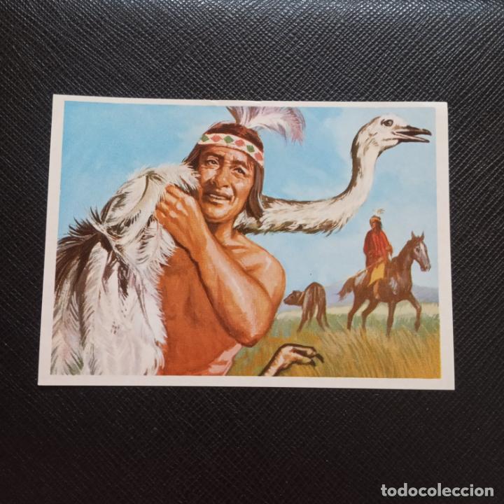 Collectable Antique Stickers: HOMBRE RAZAS Y COSTUMBRES RUIZ ROMERO 1972 CROMO - SIN PEGAR - CC7 - 233