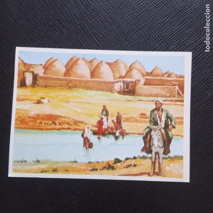 Collectable Antique Stickers: HOMBRE RAZAS Y COSTUMBRES RUIZ ROMERO 1972 CROMO - SIN PEGAR - CC7 - 67