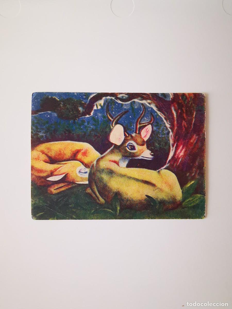 Collectable Antique Stickers: CROMO SIN PEGAR ALBUM PELICULA WALT DISNEY BAMBI 1950 FHER 172