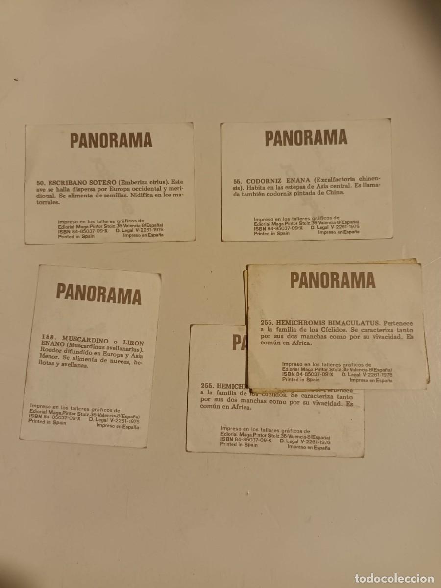 Coleccionismo cromos antiguos: LOTE 5 CROMOS PANORAMA ED. MAGA - Foto 2
