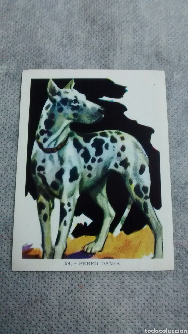 Coleccionismo cromos antiguos: CIENCIA Y ARTE, FHER, 54 - Foto 1
