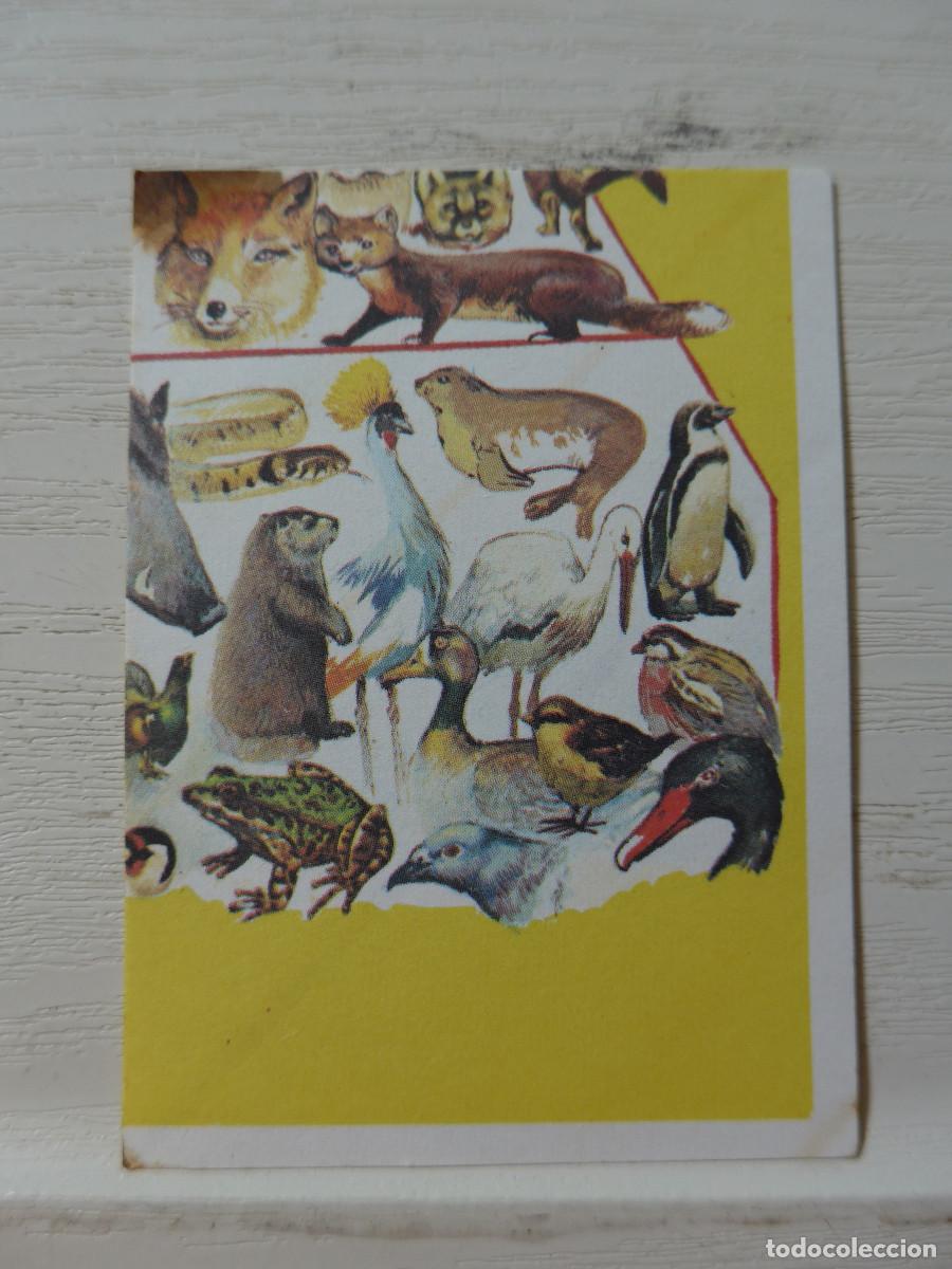 Coleccionismo cromos antiguos: CROMO EUROPA FLASH N&ordm; 18 - Foto 1