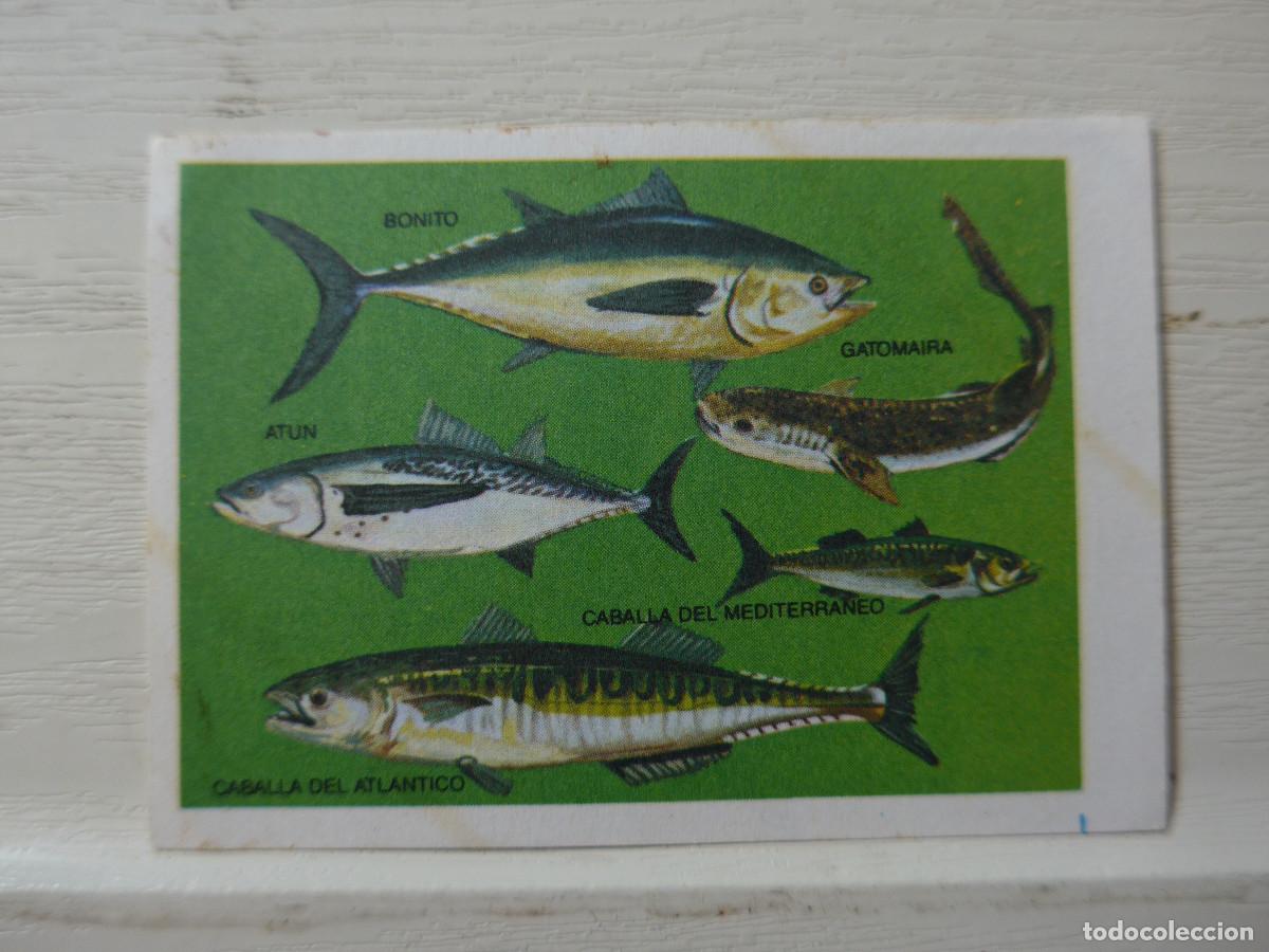 Coleccionismo cromos antiguos: CROMO EUROPA FLASH N&ordm; 140 - Foto 1