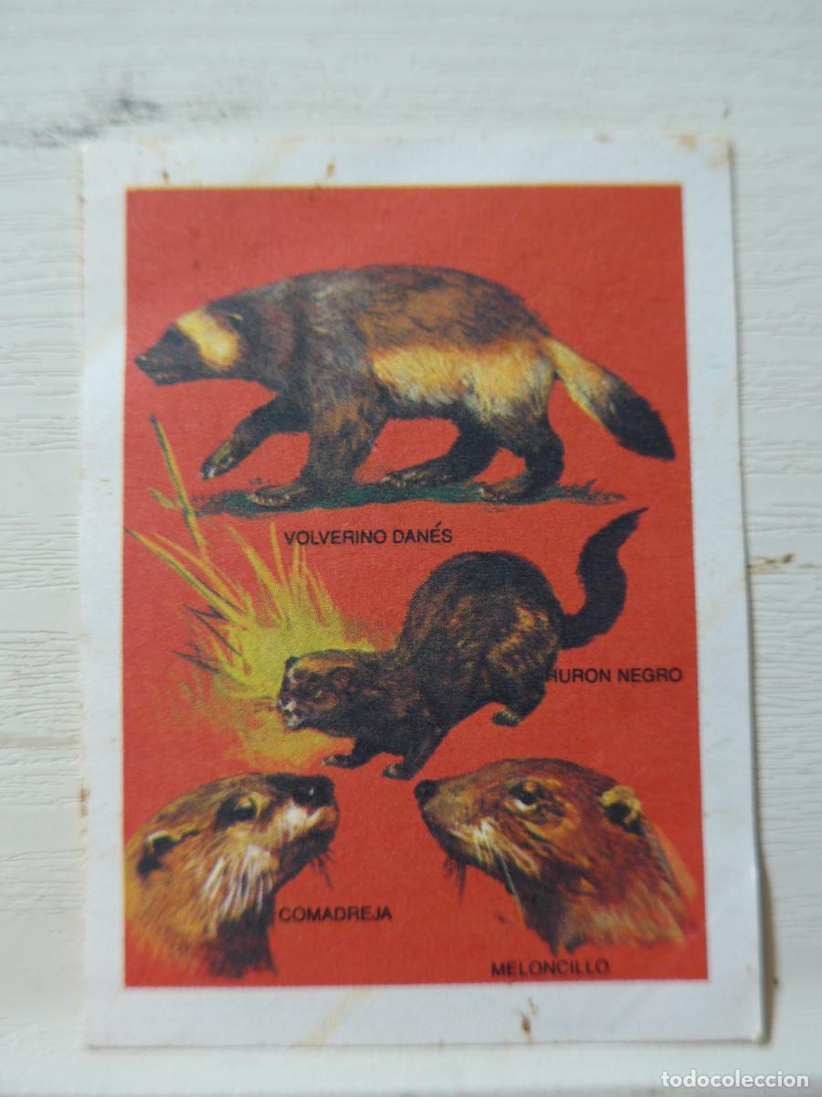 Coleccionismo cromos antiguos: CROMO EUROPA FLASH N&ordm; 30 - Foto 1