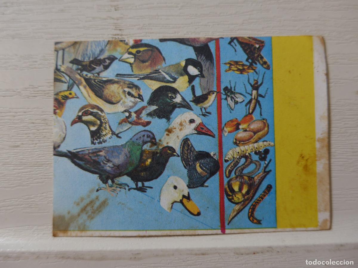 Coleccionismo cromos antiguos: CROMO EUROPA FLASH N&ordm; 64 - Foto 1