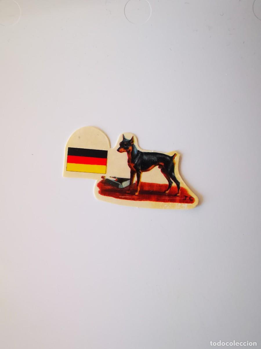 Sammeln alte Sammelbilder: CROMO SIN PEGAR PASTELITOS PANRICO AUTOADHESIVOS PERROS SUS RAZAS ORIGEN 45 PINSCHER ENANO ALEMANIA