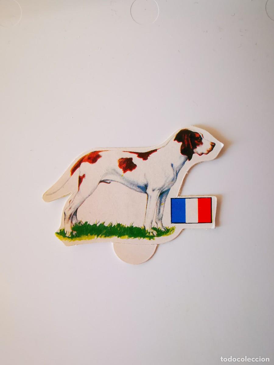 Collectionnisme Cartes &agrave; collectionner anciennes: CROMO SIN PEGAR PASTELITOS PANRICO AUTOADHESIVOS PERROS SUS RAZAS Y ORIGEN 63 BRAQUE FRANCIA