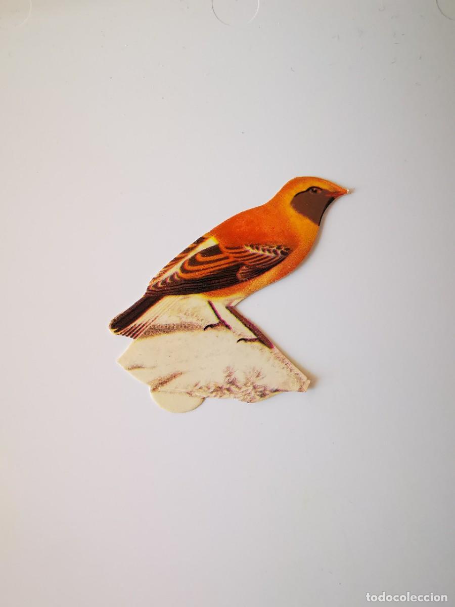 Collectable Antique Stickers: CROMO SIN PEGAR PASTELITOS DONUTS PANRICO AVES ALBUM PAJAROS 96 AUTOADHESIVOS 24 COLLALBA STAPERZIN