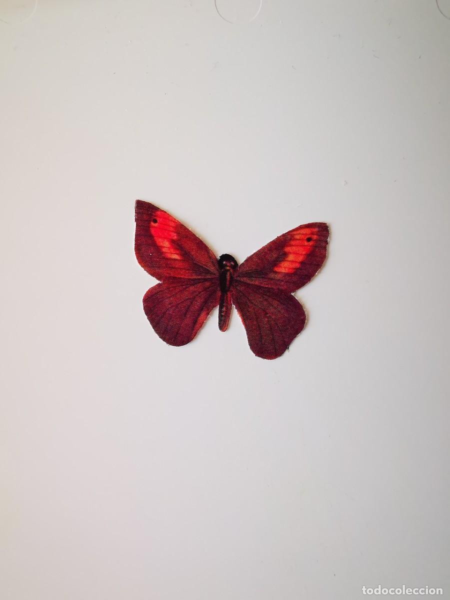 Collectable Antique Stickers: CROMO SIN PEGAR PASTELITOS DONUTS PANRICO ALBUM COLECCION MARIPOSAS 6 SATYRUS EUDORA