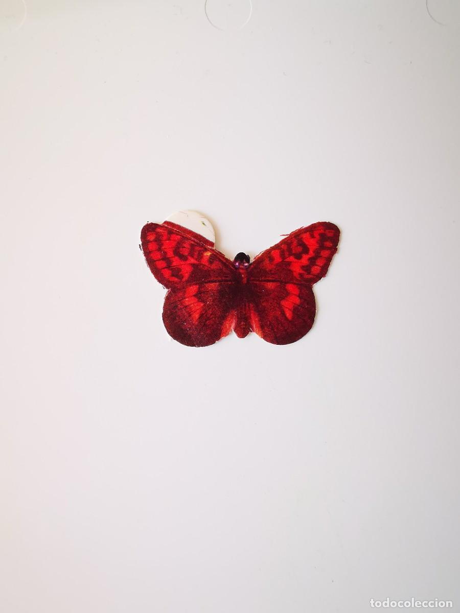 Coleccionismo Cromos antiguos: CROMO SIN PEGAR PASTELITOS DONUTS PANRICO ALBUM COLECCION MARIPOSAS 36 ARGYNNIS THORE