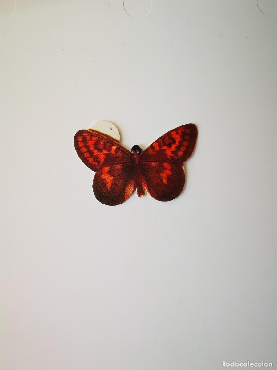 Coleccionismo Cromos antiguos: CROMO SIN PEGAR PASTELITOS DONUTS PANRICO ALBUM COLECCION MARIPOSAS 36 ARGYNNIS THORE