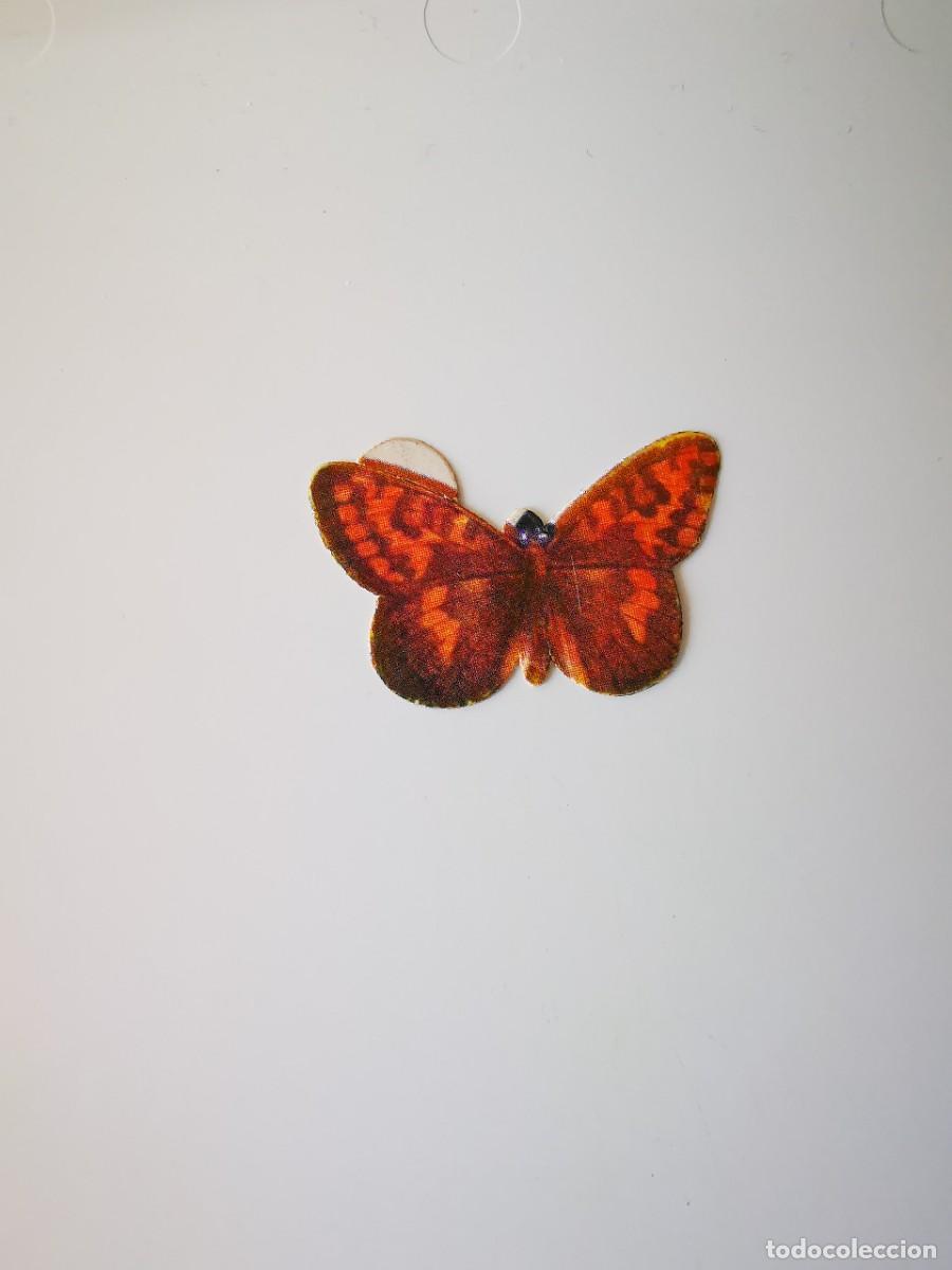 Coleccionismo Cromos antiguos: CROMO SIN PEGAR PASTELITOS DONUTS PANRICO ALBUM COLECCION MARIPOSAS 36 ARGYNNIS THORE