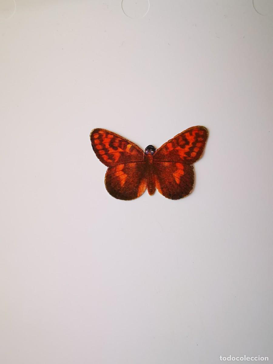 Coleccionismo Cromos antiguos: CROMO SIN PEGAR PASTELITOS DONUTS PANRICO ALBUM COLECCION MARIPOSAS 36 ARGYNNIS THORE