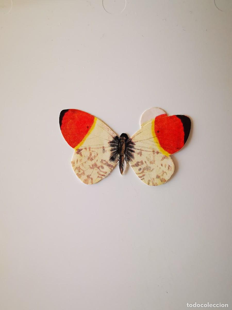 Coleccionismo Cromos antiguos: CROMO SIN PEGAR PASTELITOS DONUTS PANRICO ALBUM COLECCION MARIPOSAS 46 PIERIS GARDAMINES