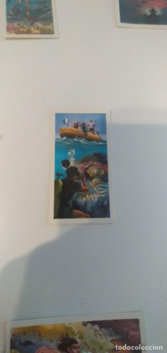 Colecionismo Cromos antigos: C-&Ntilde;&Ntilde;54 CROMO DE INGLATERRA THE SEA-OUR OTHER WORLD SIN PEGAR EL DE FOTO