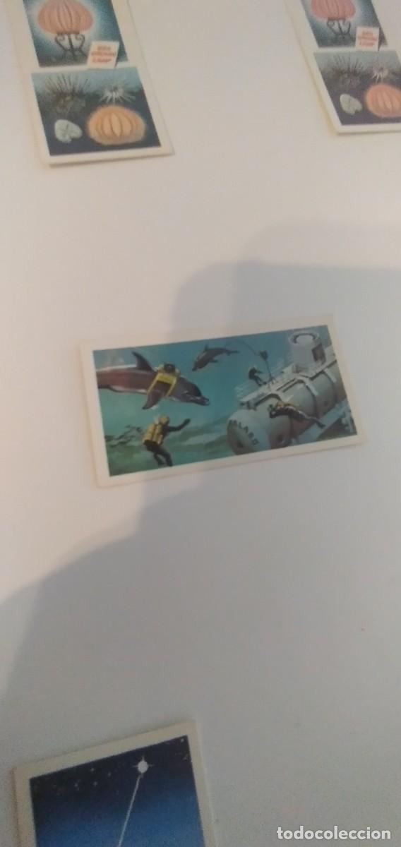 Colecionismo Cromos antigos: C-&Ntilde;&Ntilde;54 CROMO DE INGLATERRA THE SEA-OUR OTHER WORLD SIN PEGAR EL DE FOTO