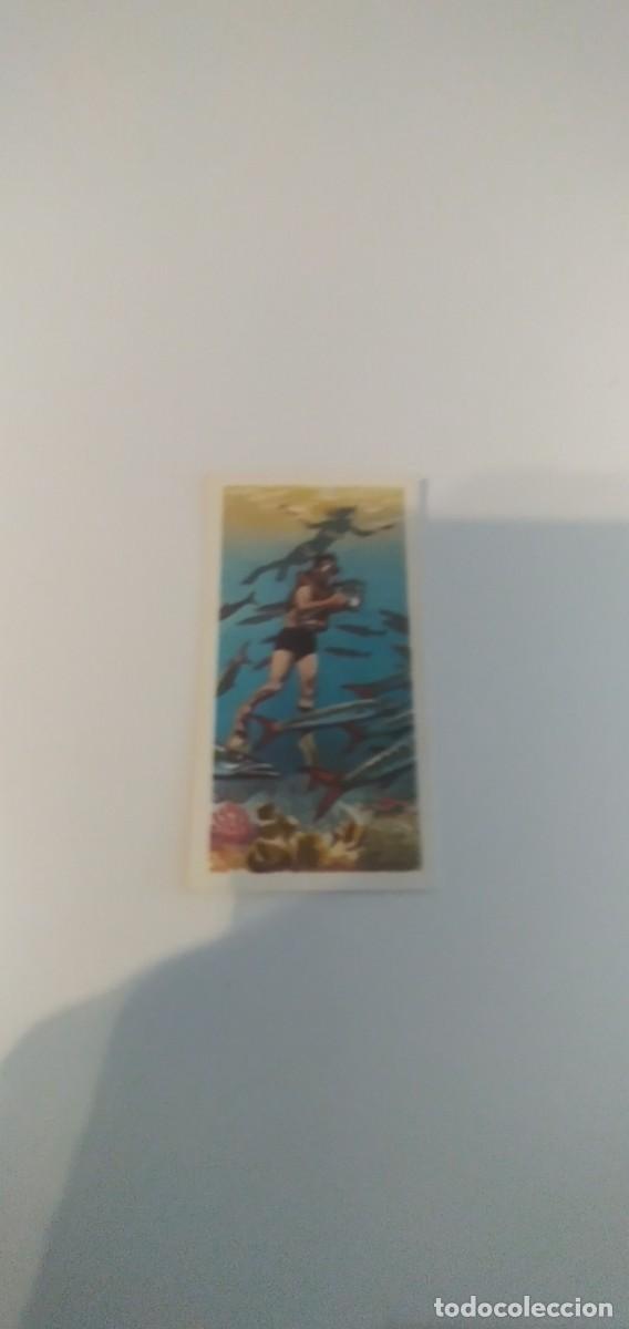 Colecionismo Cromos antigos: C-&Ntilde;&Ntilde;54 CROMO DE INGLATERRA THE SEA-OUR OTHER WORLD SIN PEGAR EL DE FOTO