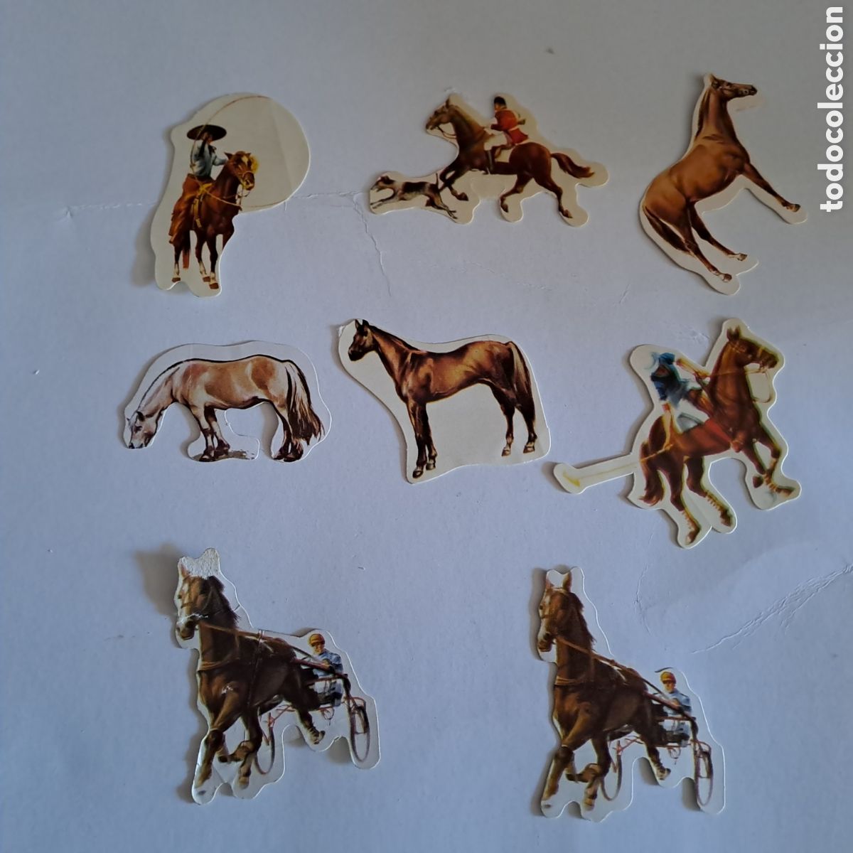 Coleccionismo cromos antiguos: Lote de 8 cromos caballos panrico - Foto 1