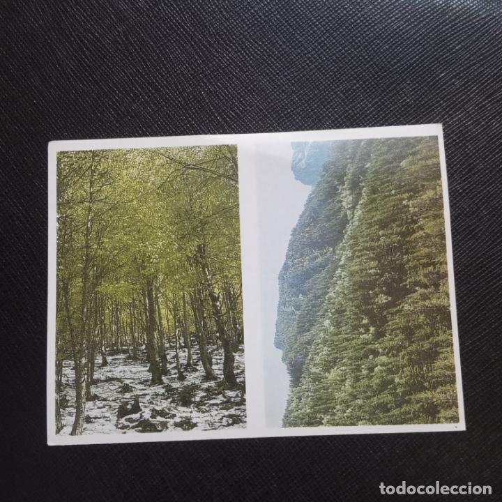 Collectionnisme Cartes &agrave; collectionner anciennes: 60 61 EL MON FORESTAL CROMO ENCICLOPEDIA CATALANA - SIN PEGAR - CC7