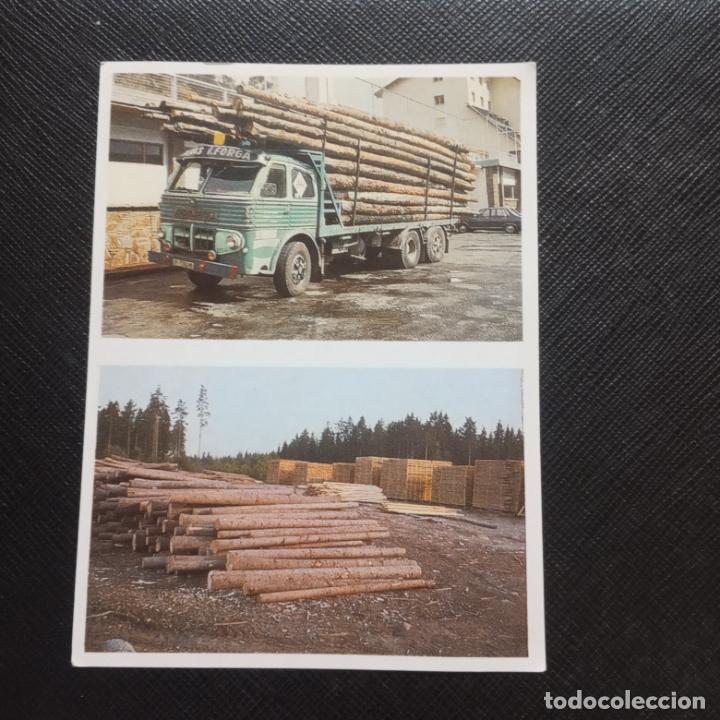 Collectionnisme Cartes &agrave; collectionner anciennes: 74 75 EL MON FORESTAL CROMO ENCICLOPEDIA CATALANA - SIN PEGAR - CC7