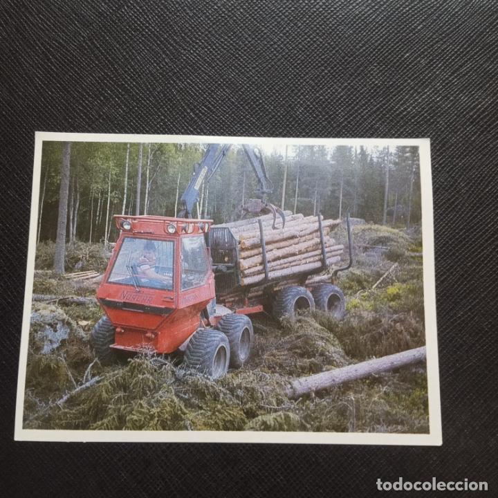 Collectionnisme Cartes &agrave; collectionner anciennes: 133 134 EL MON FORESTAL CROMO ENCICLOPEDIA CATALANA - SIN PEGAR - CC7