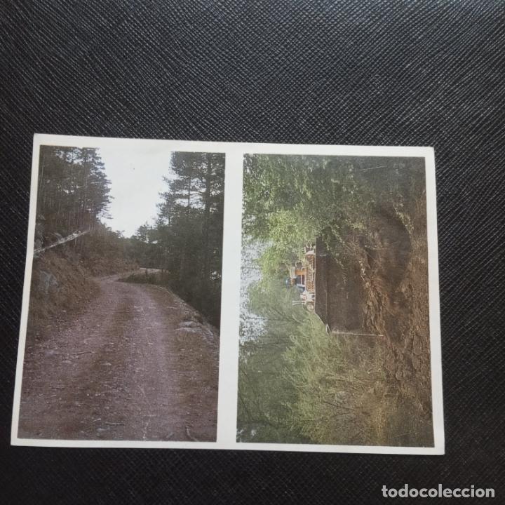 Collectionnisme Cartes &agrave; collectionner anciennes: 140 141 EL MON FORESTAL CROMO ENCICLOPEDIA CATALANA - SIN PEGAR - CC7