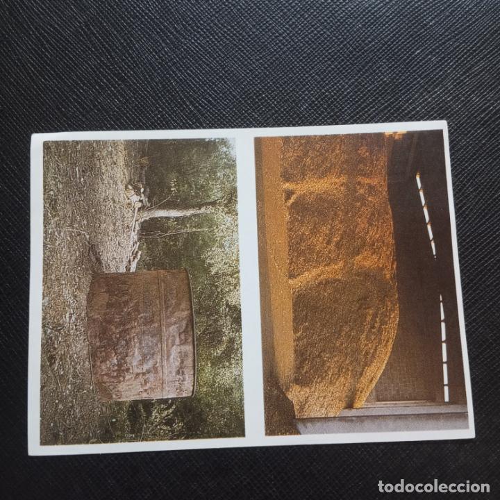 Collectionnisme Cartes &agrave; collectionner anciennes: 218 220 EL MON FORESTAL CROMO ENCICLOPEDIA CATALANA - SIN PEGAR - CC7 B